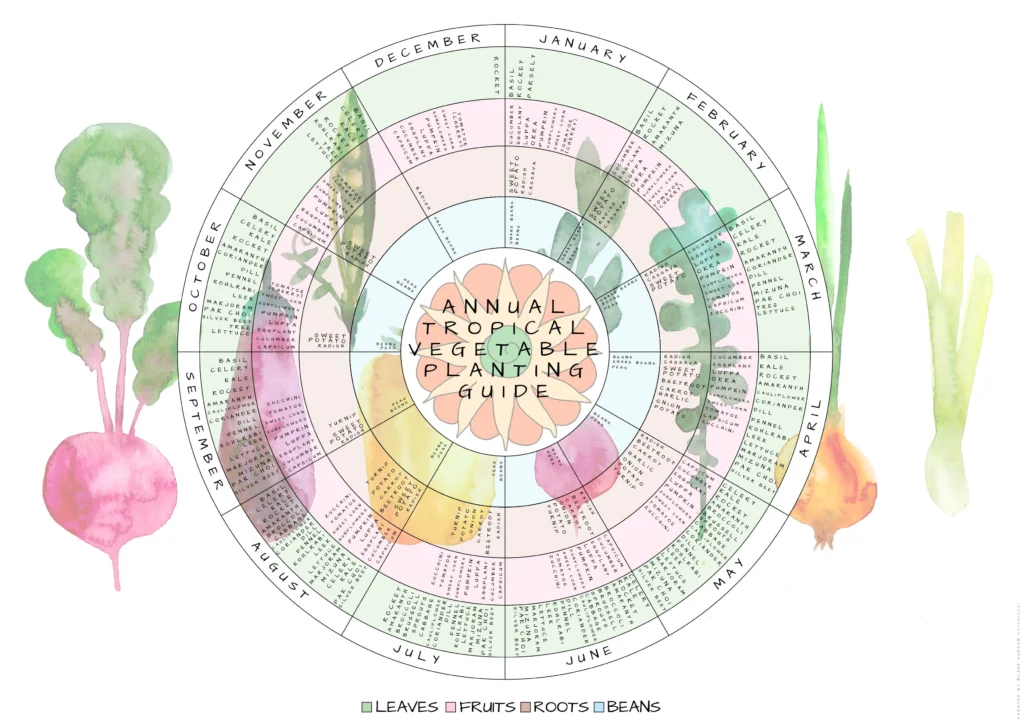 Tropical Planting Guide - A List of Plants Annual Vegetable Gardening